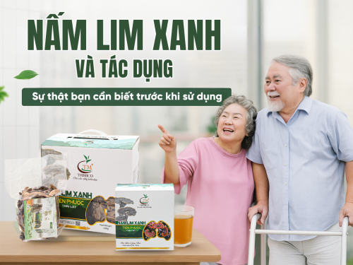 Khám phá tác dụng của nấm Lim Xanh đối với bệnh gan: Sự thật ít ai biết